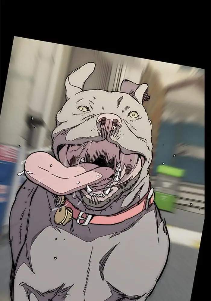 image-komik-wind-breaker-chapter-338-120/155