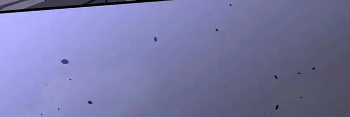 image-komik-advanced-evolution-chapter-16-30/41