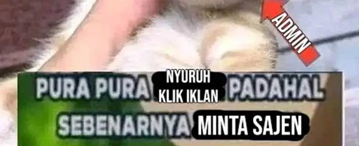 image-komik-adventures-of-an-undead-who-became-paladin-chapter-164-14/15