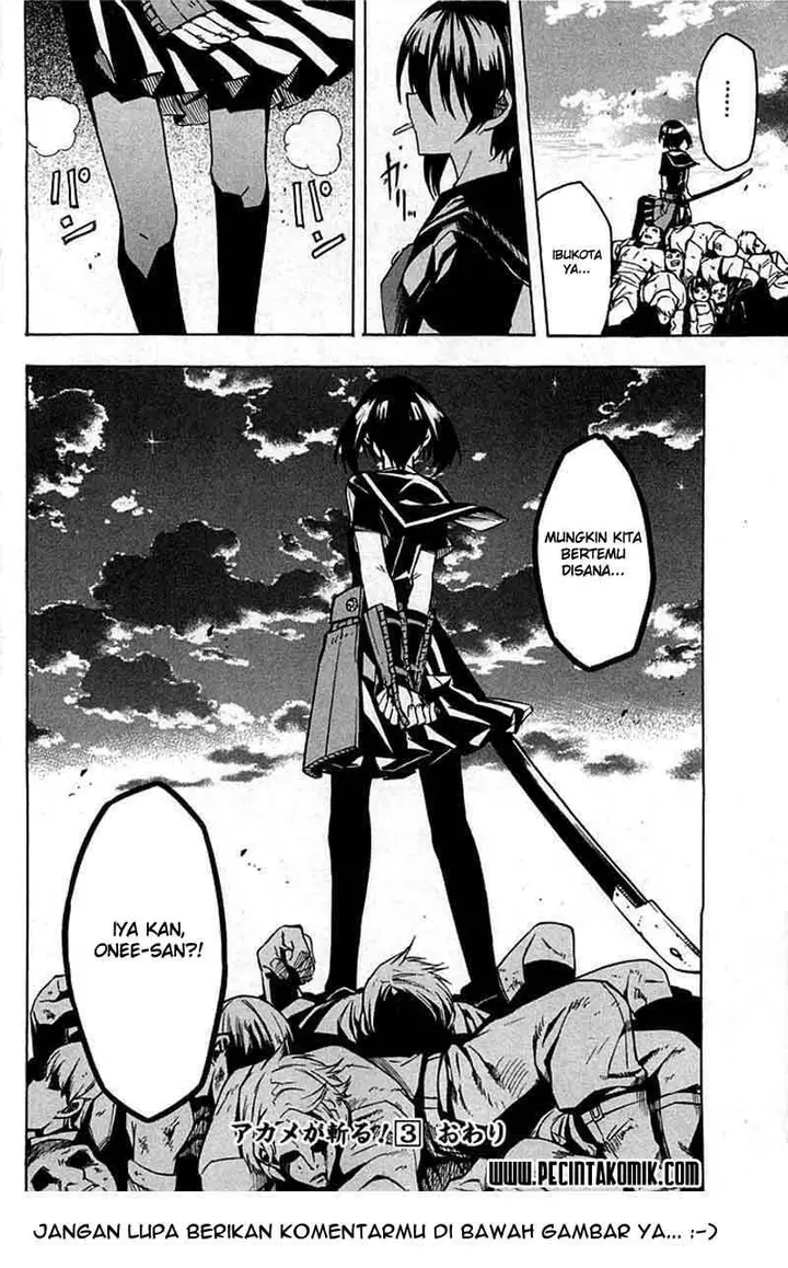 image-komik-akame-ga-kill-chapter-14-47/48