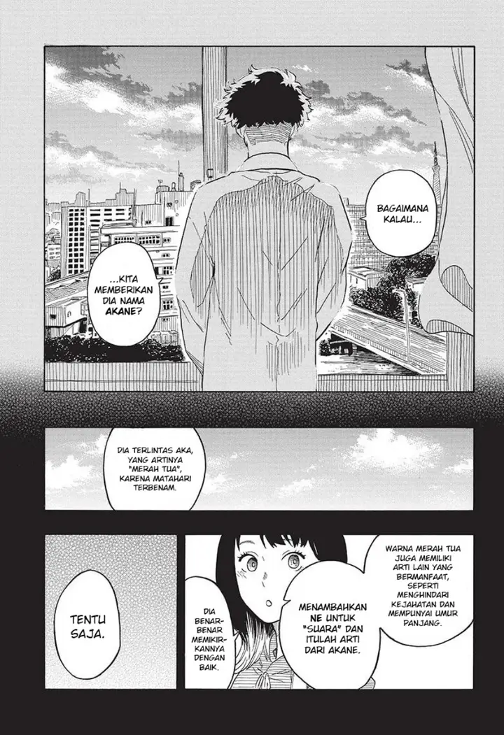 image-komik-akane-banashi-chapter-24-11/19