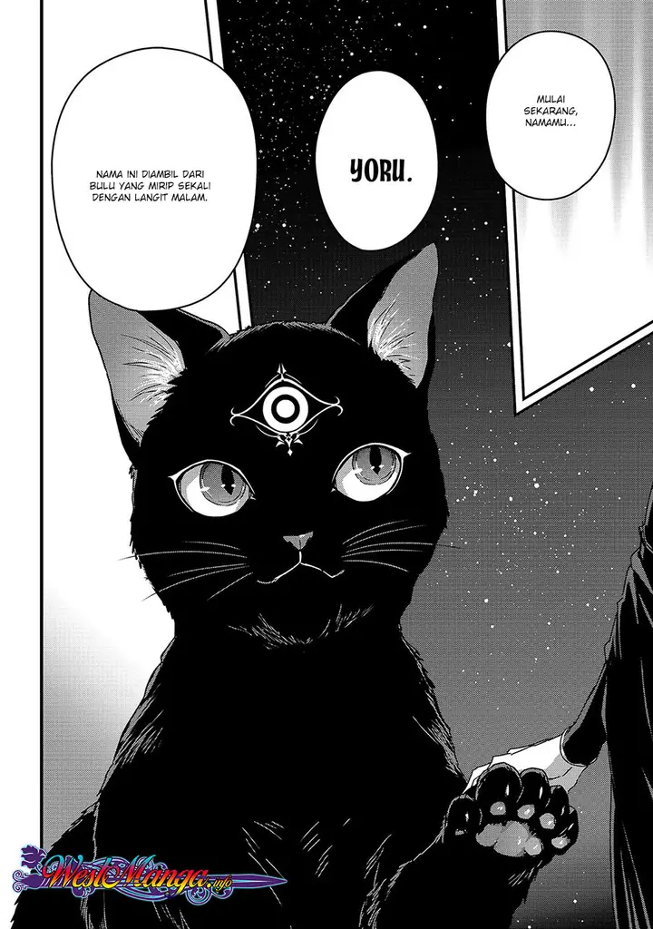 image-komik-assassin-de-aru-ore-no-sutetasu-ga-yuusha-yori-mo-akiraka-ni-tsuyoi-nodaga-chapter-11-21/27