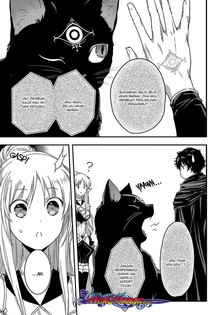 image-komik-assassin-de-aru-ore-no-sutetasu-ga-yuusha-yori-mo-akiraka-ni-tsuyoi-nodaga-chapter-11-24/27