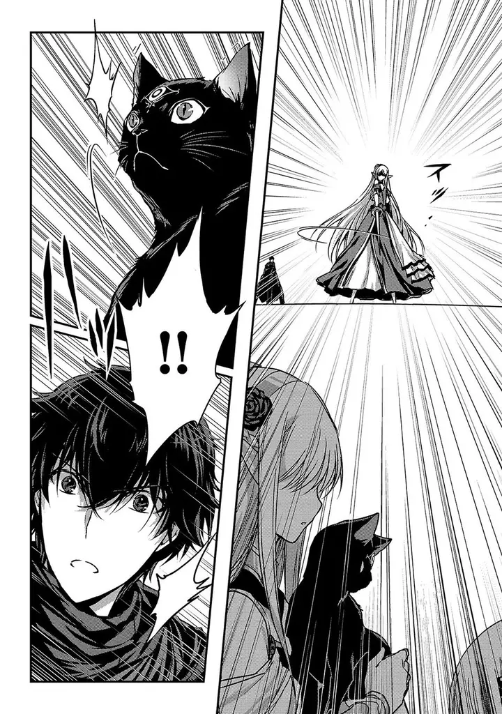 image-komik-assassin-de-aru-ore-no-sutetasu-ga-yuusha-yori-mo-akiraka-ni-tsuyoi-nodaga-chapter-16.2-12/15