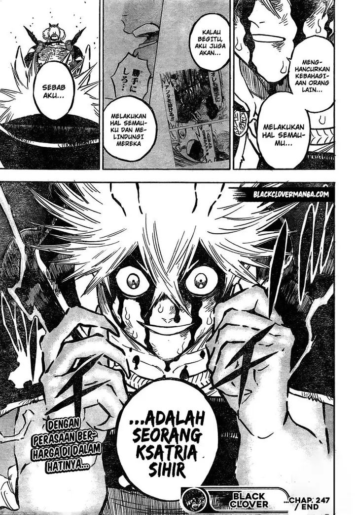 image-komik-black-clover-chapter-247-13/14