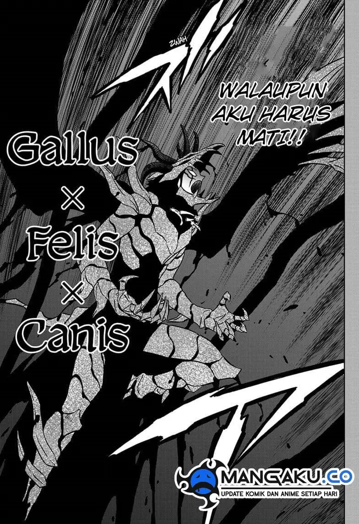 image-komik-black-clover-chapter-375-2/13