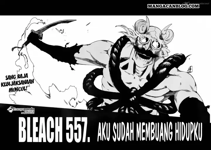 image-komik-bleach-chapter-557-4/18
