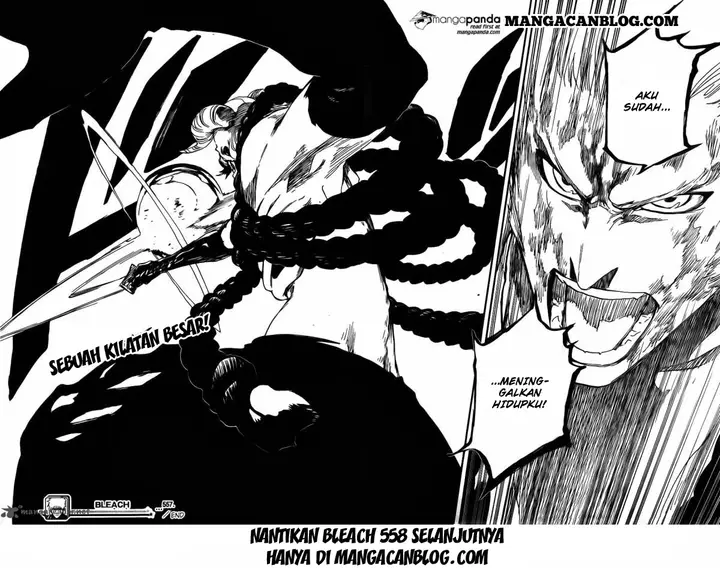 image-komik-bleach-chapter-557-17/18