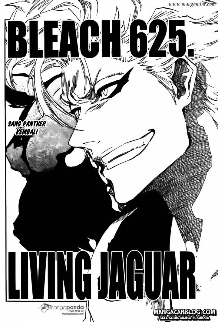 image-komik-bleach-chapter-625-1/18
