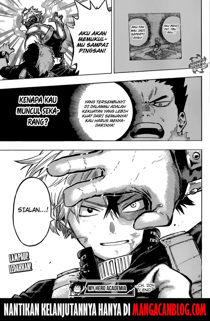 image-komik-boku-no-hero-academia-chapter-204-14/15