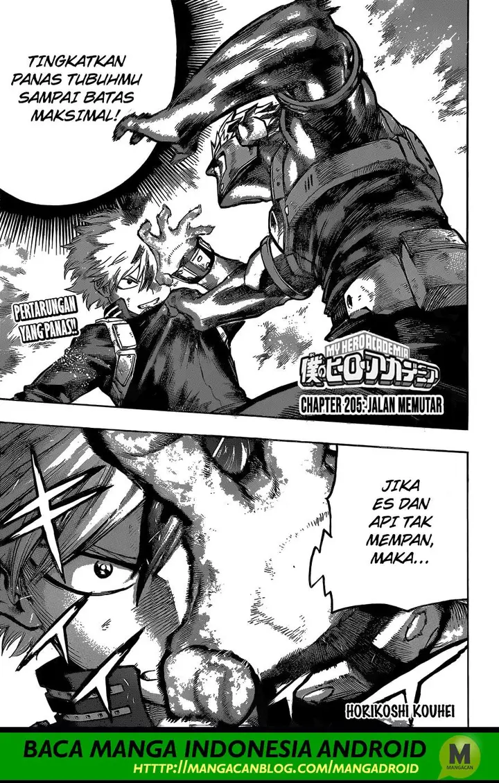 image-komik-boku-no-hero-academia-chapter-205-0/16