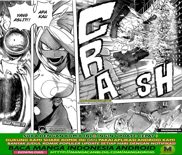 image-komik-boku-no-hero-academia-chapter-260-13/14