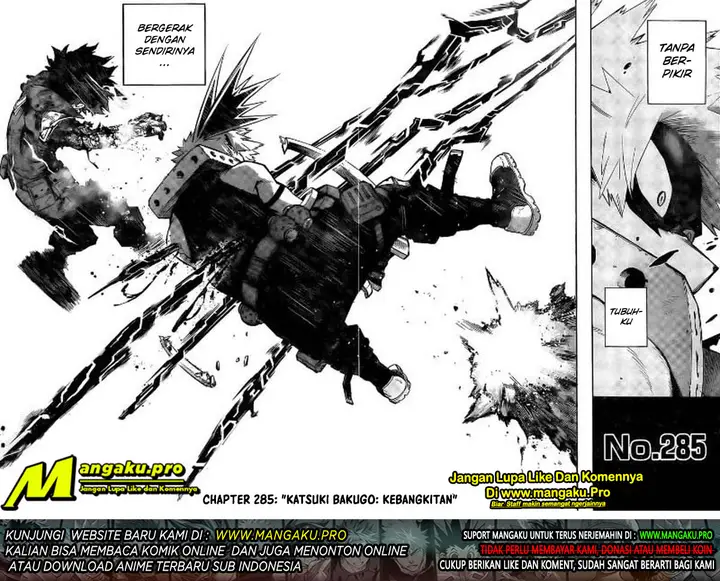 image-komik-boku-no-hero-academia-chapter-285-16/18