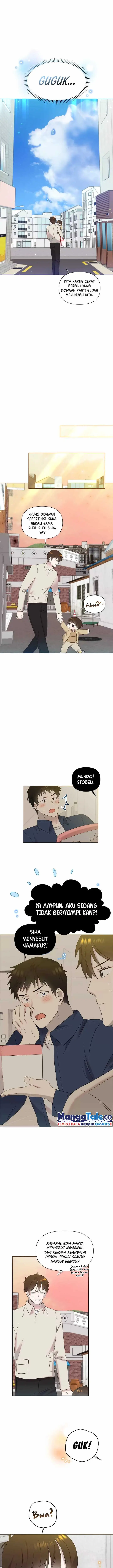 image-komik-brother-am-i-cute-chapter-22-13/16