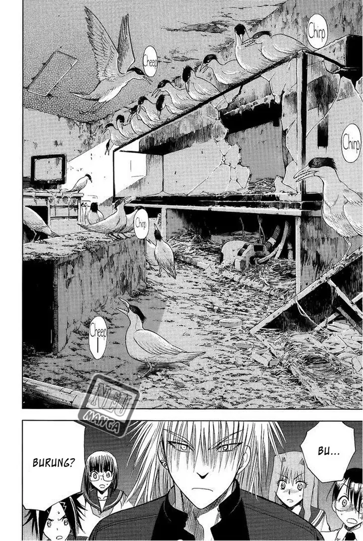 image-komik-cage-of-eden-chapter-105-4/21