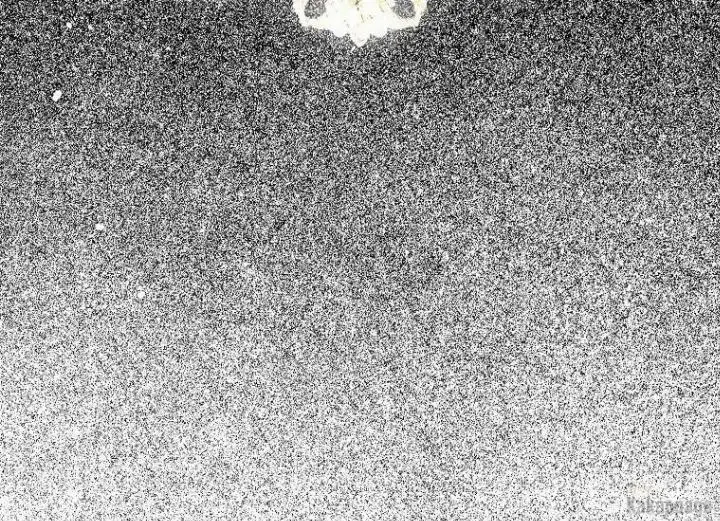 image-komik-come-on-out-romeo-chapter-74-23/177