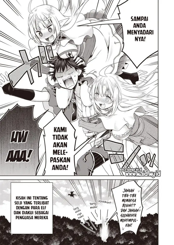 image-komik-dakara-katte-ni-yusha-toka-hao-ni-nintei-sun-no-yamero-yo-elf-zoku-mo-kokuo-sama-mo-hirefusu-hodo-ore-ha-idaina-yakuwarirashi-chapter-1-4/25