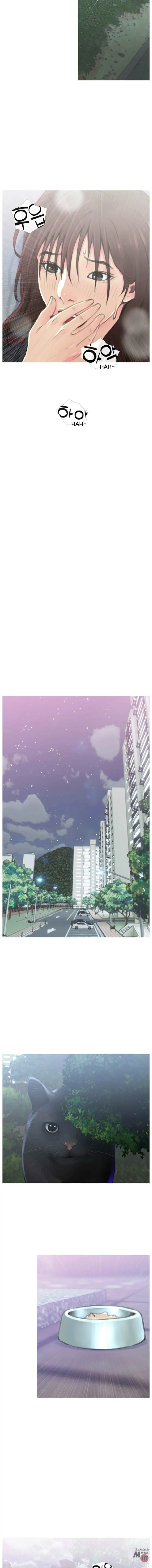 image-komik-desperate-housewives-manhwa-chapter-01-5/15