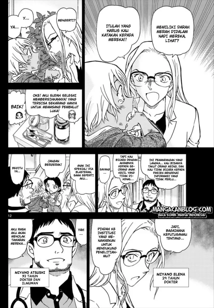 image-komik-detective-conan-chapter-1011-11/17