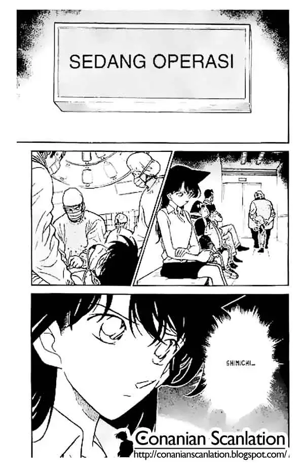 image-komik-detective-conan-chapter-253-17/18