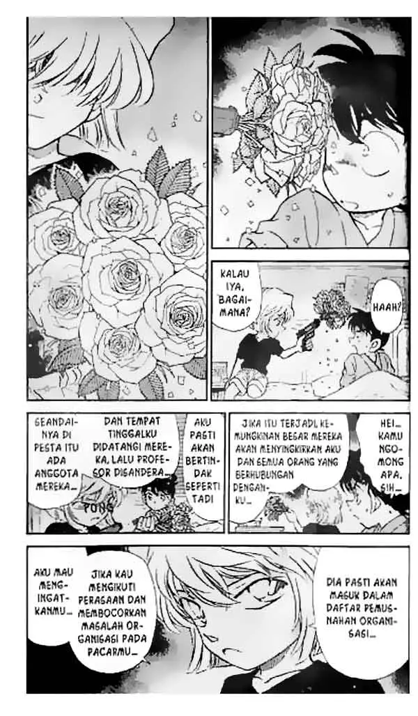 image-komik-detective-conan-chapter-255-3/16