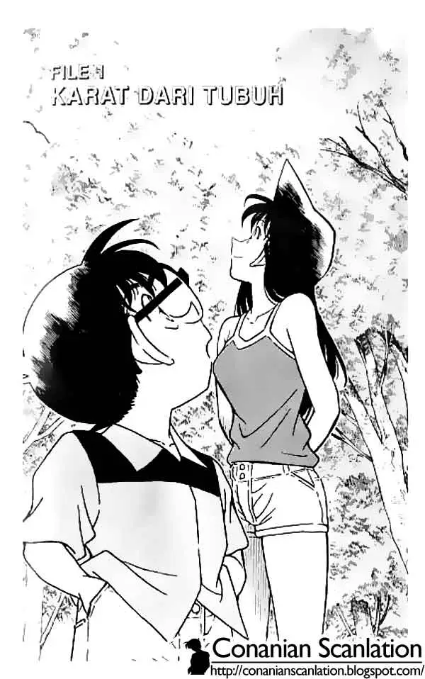 image-komik-detective-conan-chapter-264-0/18