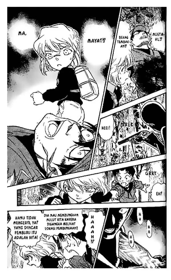 image-komik-detective-conan-chapter-273-13/18