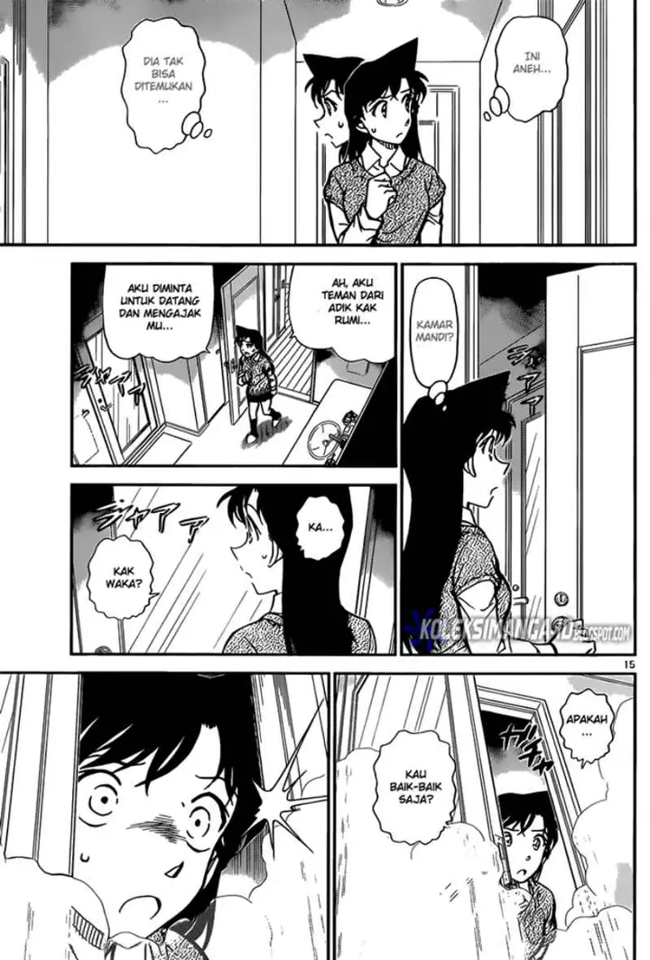 image-komik-detective-conan-chapter-856-15/17