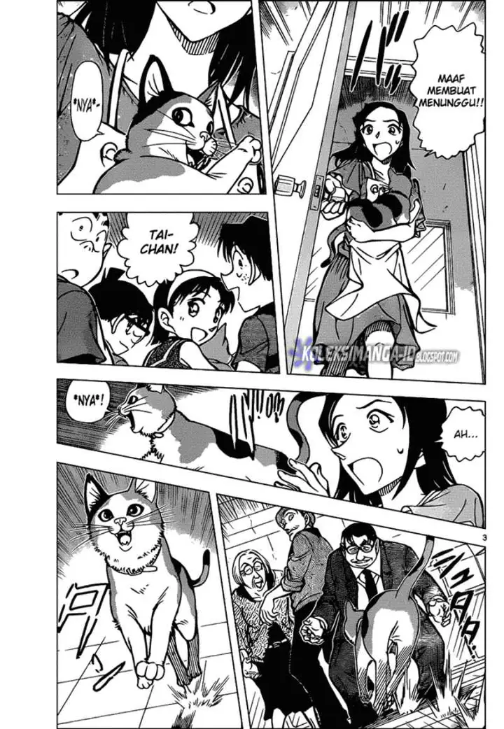image-komik-detective-conan-chapter-866-4/18