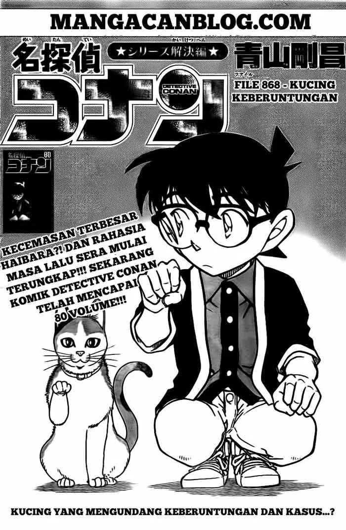 image-komik-detective-conan-chapter-868-1/17