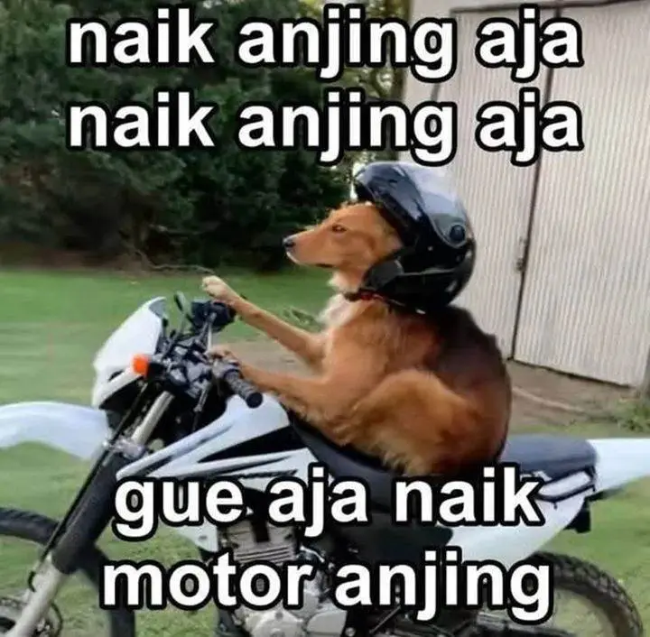 image-komik-divine-delivery-chapter-40-27/28