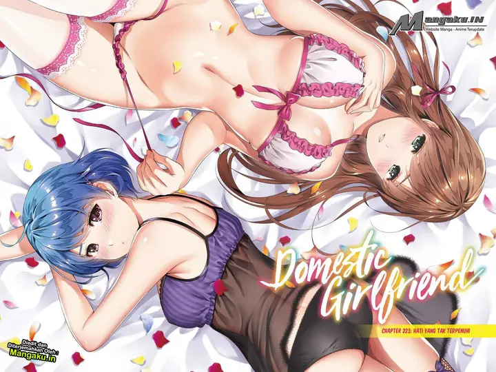 image-komik-domestic-na-kanojo-chapter-223-2/20