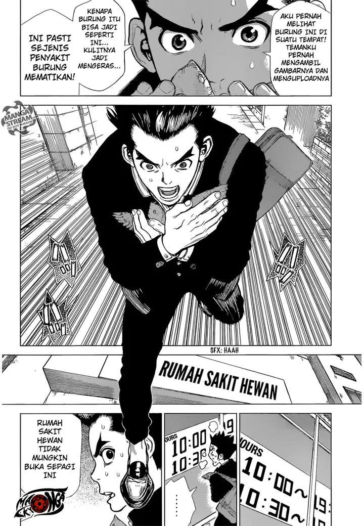 image-komik-dr-stone-chapter-01-20/48