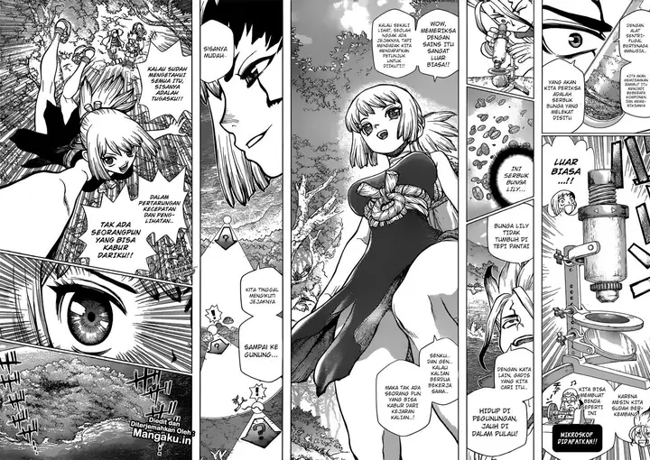 image-komik-dr-stone-chapter-104-13/17