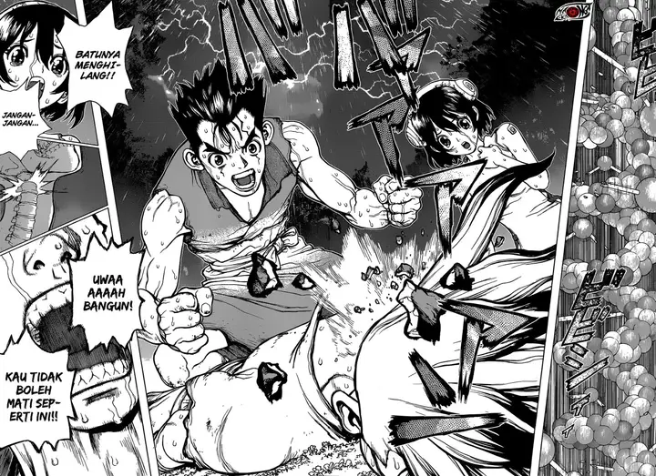 image-komik-dr-stone-chapter-12-14/19