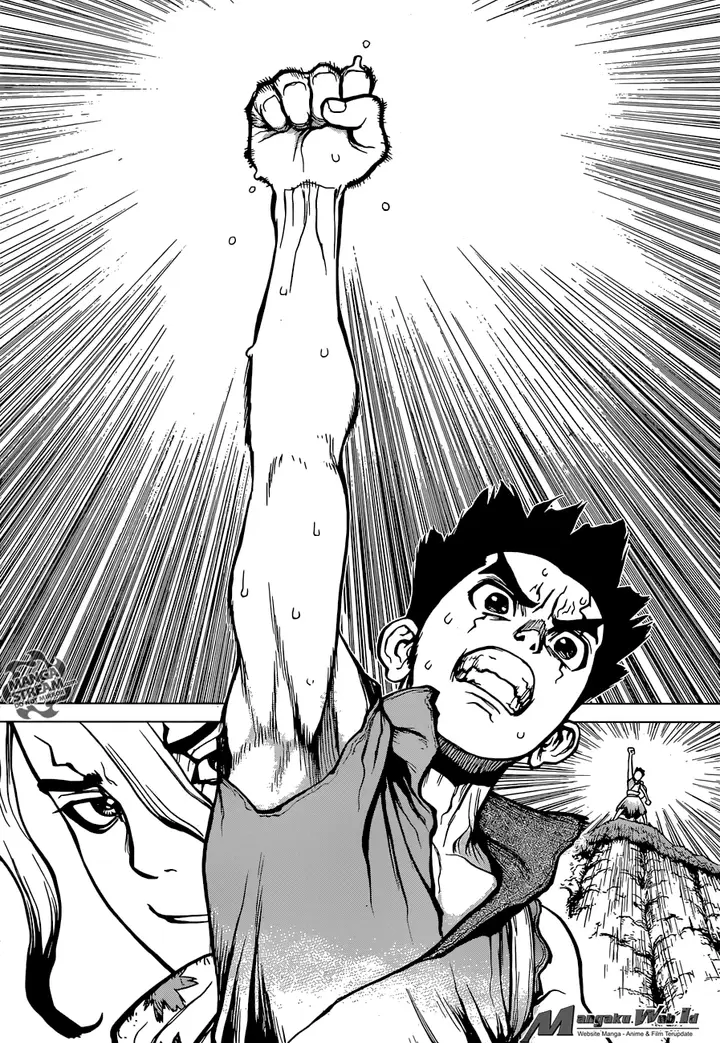 image-komik-dr-stone-chapter-15-17/19