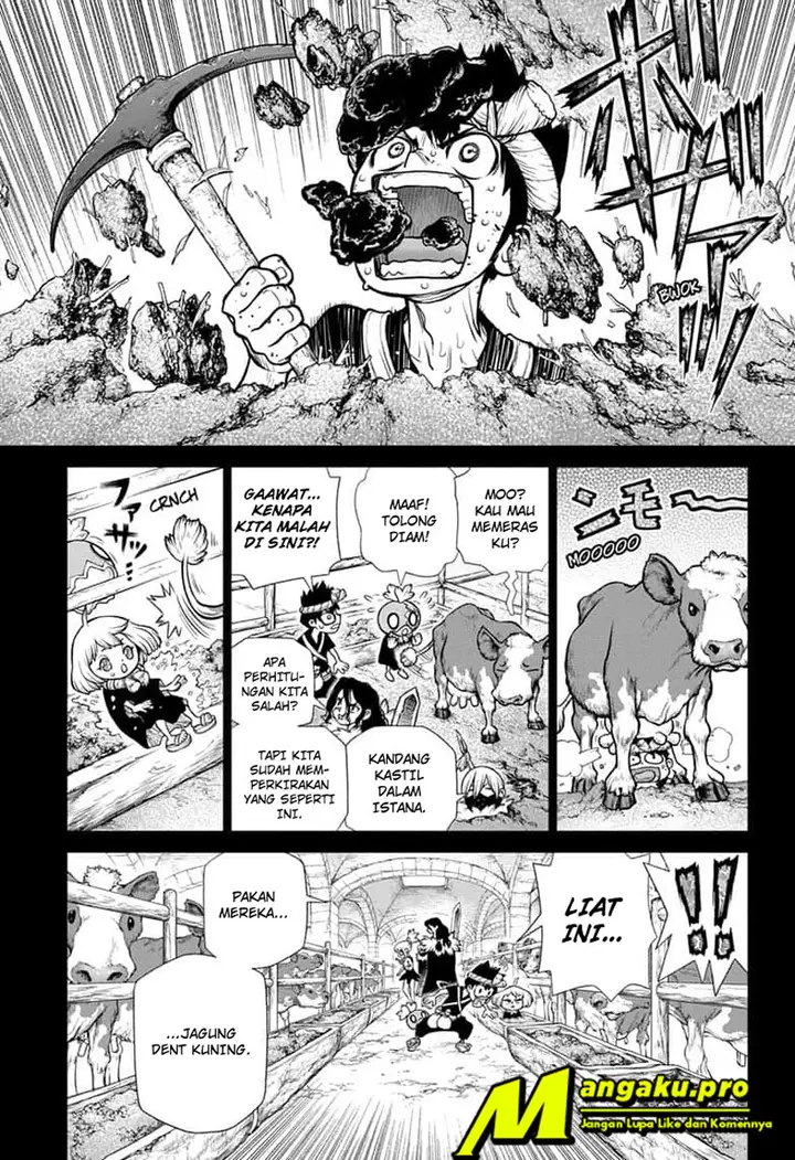 image-komik-dr-stone-chapter-167-3/17