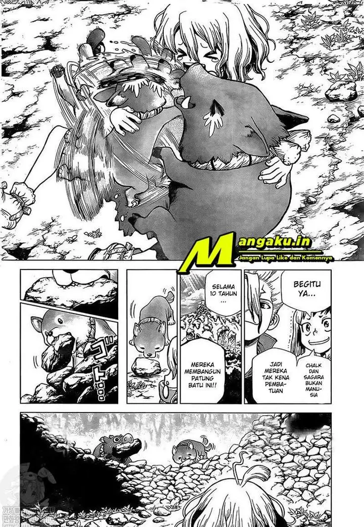 image-komik-dr-stone-chapter-212-8/17
