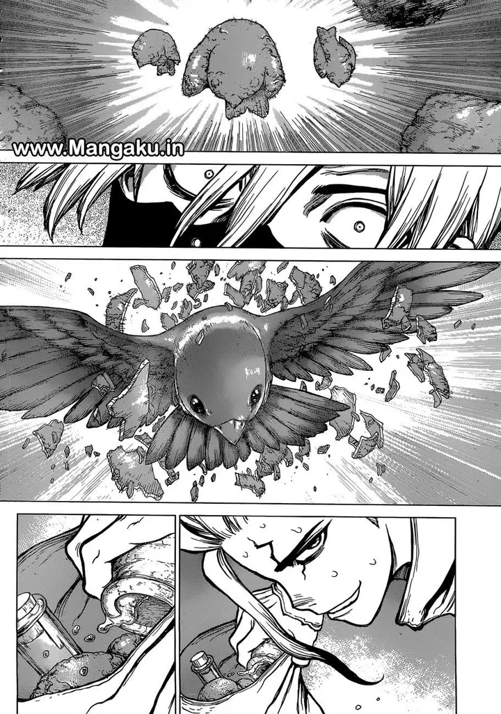 image-komik-dr-stone-chapter-80-14/19