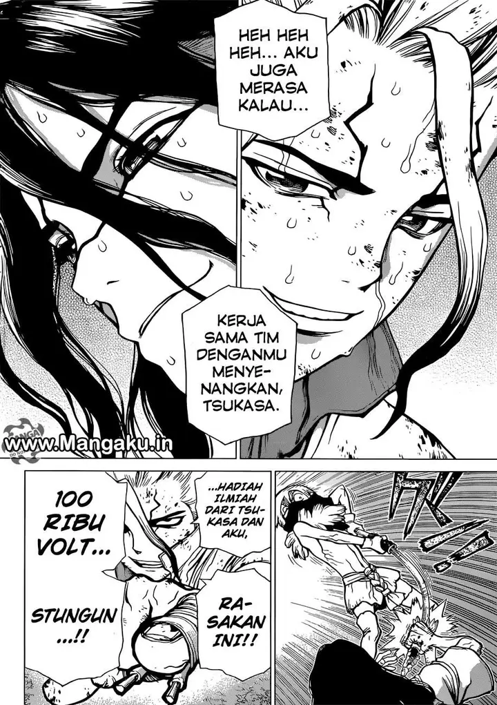 image-komik-dr-stone-chapter-81-15/17