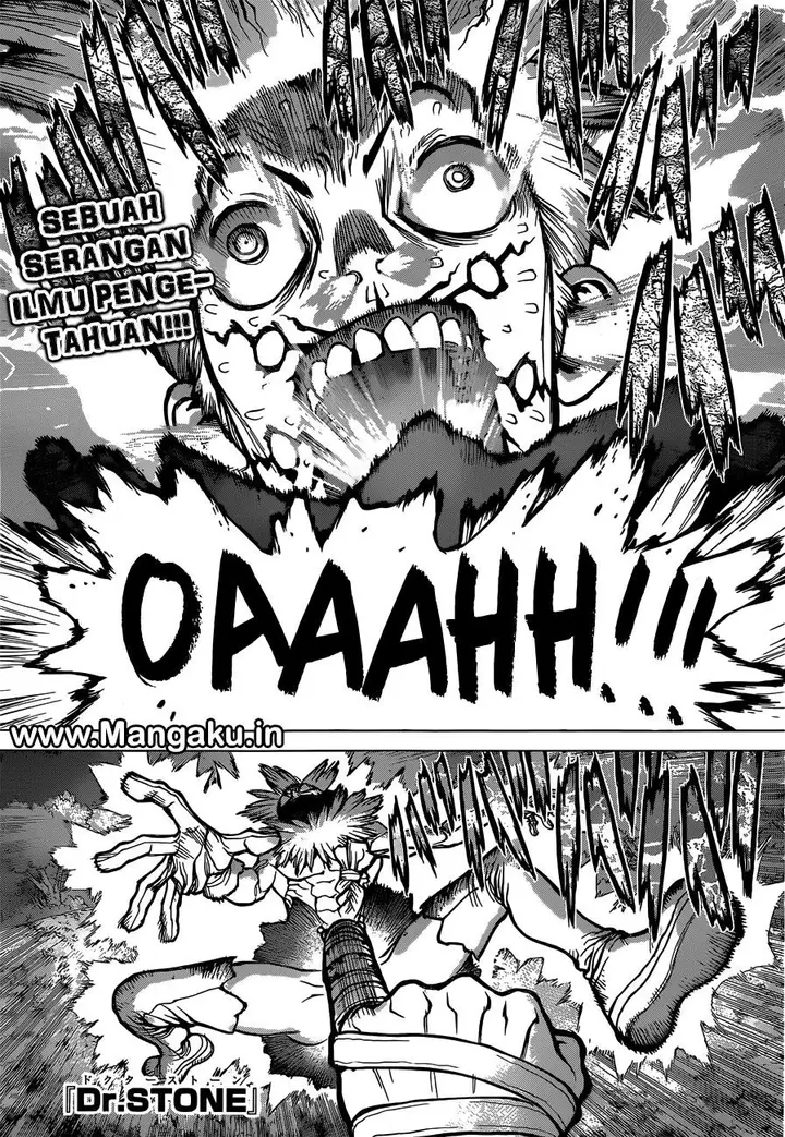 image-komik-dr-stone-chapter-82-0/19