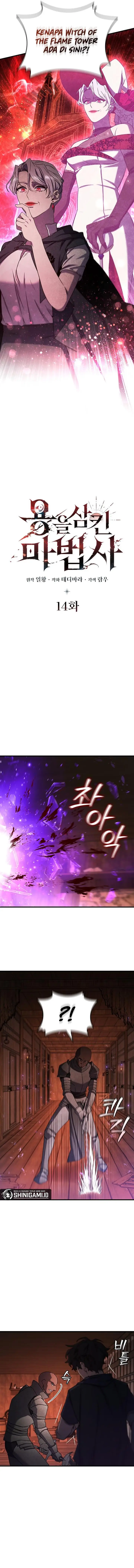 image-komik-dragon-devouring-mage-chapter-14-5/17