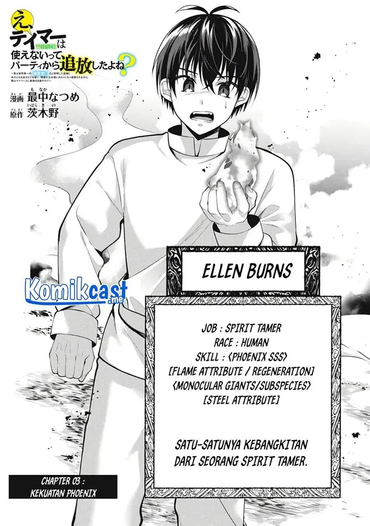 image-komik-eeh-tamer-wa-tsukaenai-tte-party-kara-tsuiho-shita-yo-ne-chapter-3-1/20
