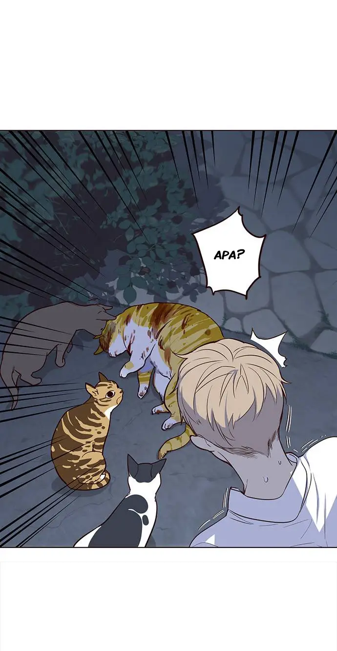 image-komik-eleceed-chapter-1-34/72