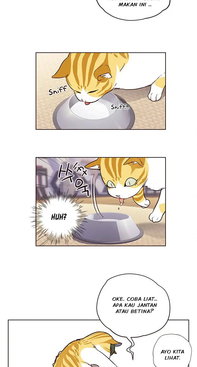 image-komik-eleceed-chapter-1-52/72