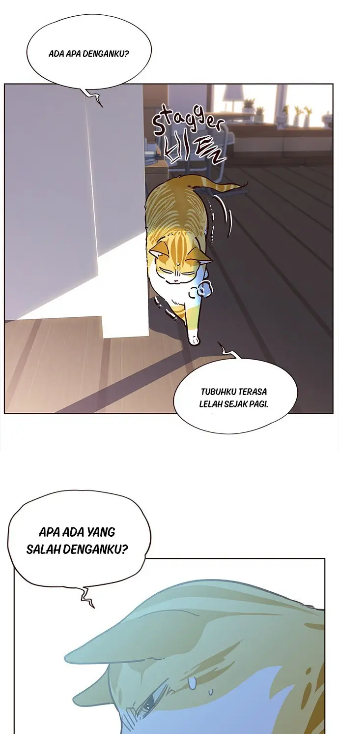 image-komik-eleceed-chapter-11-15/70