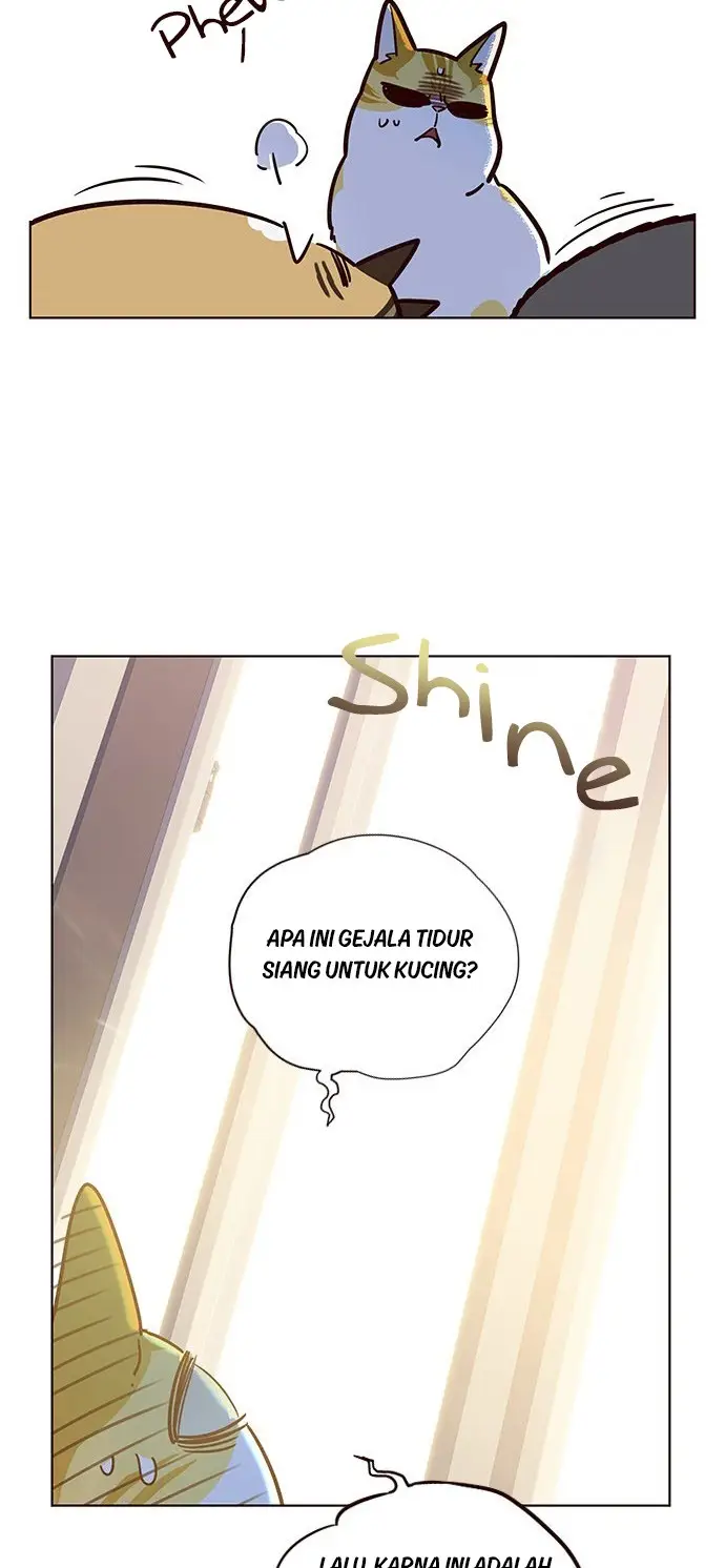 image-komik-eleceed-chapter-11-20/70