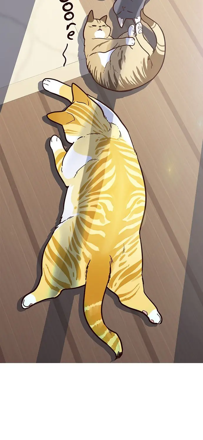 image-komik-eleceed-chapter-11-26/70