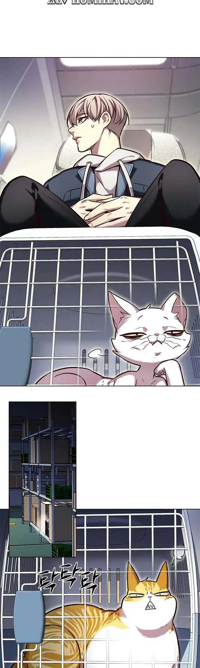 image-komik-eleceed-chapter-231-14/49