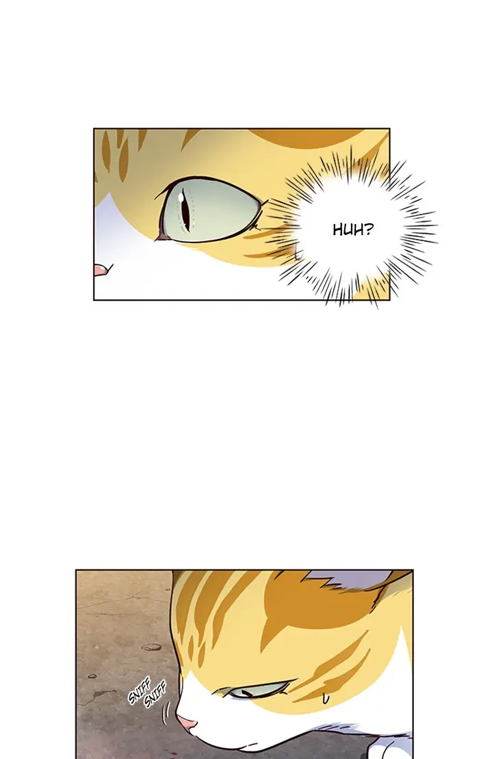 image-komik-eleceed-chapter-41-50/83